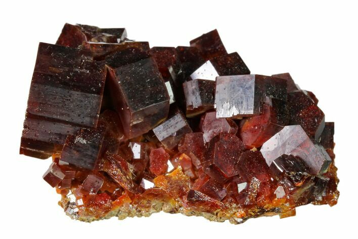 Deep Red Vanadinite Crystal Cluster - Huge Crystals! #157023